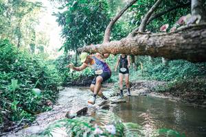 BIB: 
                            <button type="button" onclick="openModal(25433105)" class="btn btn-primary btn-sm float-right btn-popup" data-toggle="modal" data-target=".modal-high-quality">
                        <i class="fas fa-shopping-cart"></i> Add to Cart
                    </button>
                                            <button type="button" onclick="isThisMe(25433105, true)" class="btn btn-success btn-sm float-right btn-popup btn-isme hidden" data-toggle="tooltip" data-placement="bottom" title="นี่คือรูปของคุณใช่ไหม คลิกที่นี่เพื่อเอาเข้าอัลบั้ม">
                        <i class="fas fa-plus"></i> Add to album
                    </button>
                    <button type="button" onclick="isThisMe(25433105, false)" class="btn btn-warning btn-sm float-right btn-popup btn-isnotme hidden">
                        <i class="fas fa-ban"></i> Remove from album
                    </button>